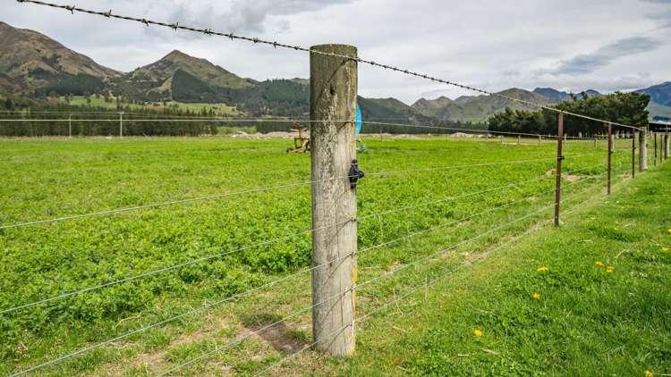 10 Chatterton Road Hanmer Springs_18