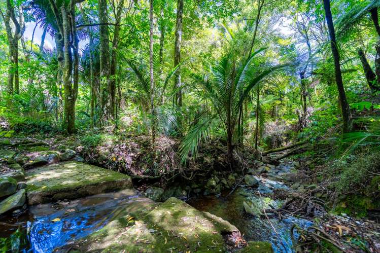 57A Riverside Drive Riverside_36