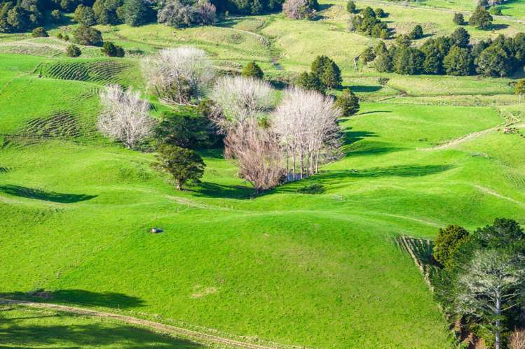 Lots 2 and 5 Leslie Road Maungakaramea_4