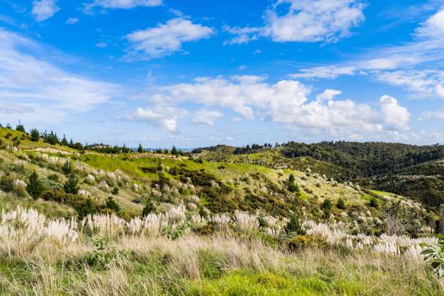 Lot 8/670 Bickerstaffe Road Maungaturoto_2