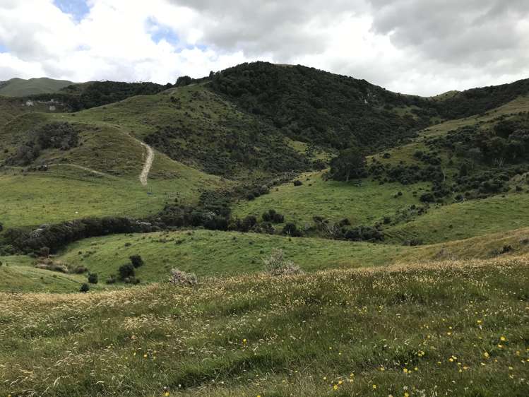 Bowen Road Eketahuna_11