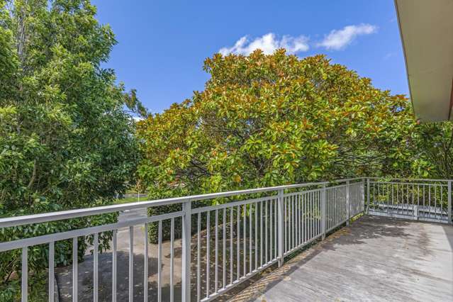 48 Langley Avenue Milson_1