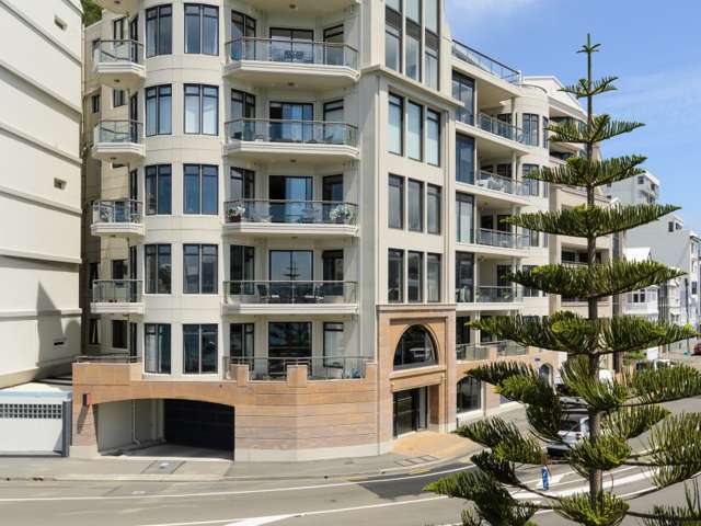 2a/172 Oriental Parade Oriental Bay_1