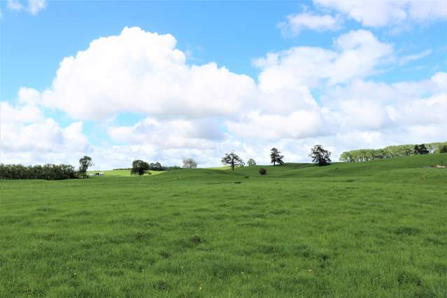 3.5 Ha Lifestyle - No Covenants