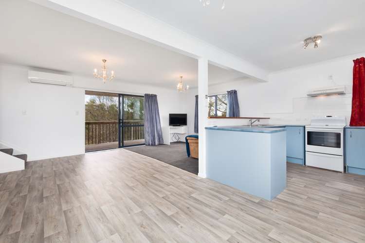 4b Dowson Place Kaiwaka_11