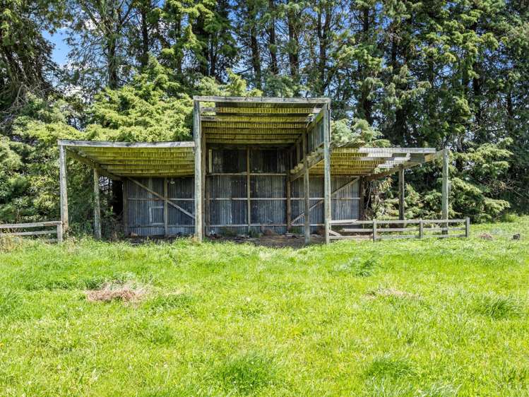 310 Longbeach Road Willowby_26