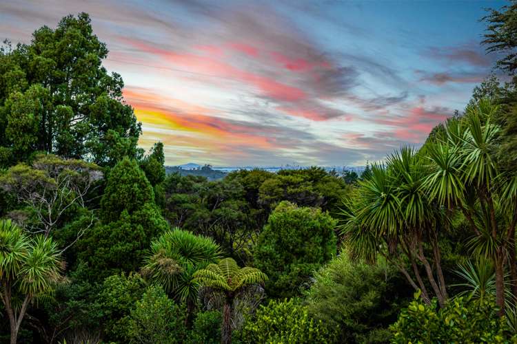 7 Awhiorangi Promenade Swanson_9