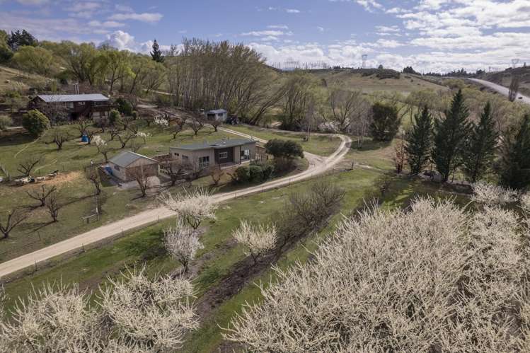 18 Ferris Road Alexandra_16