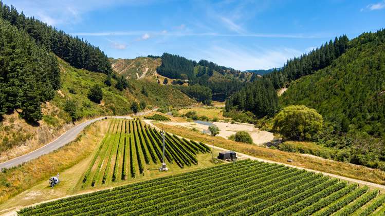 Northbank Road Kaituna_6