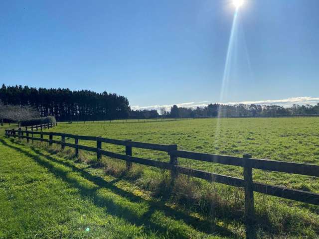 200 Trents Road Prebbleton_2