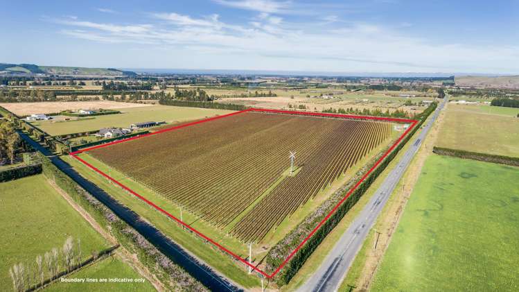 292 Mount Brown Road Amberley_1