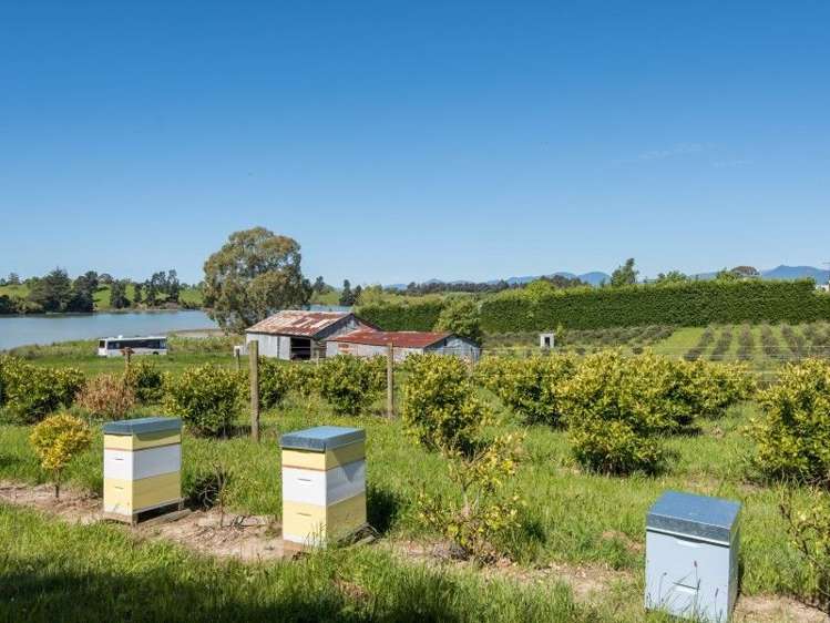 1 Apple Valley Road East Mahana_16