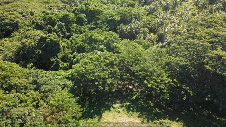 Address withheld Savusavu_8
