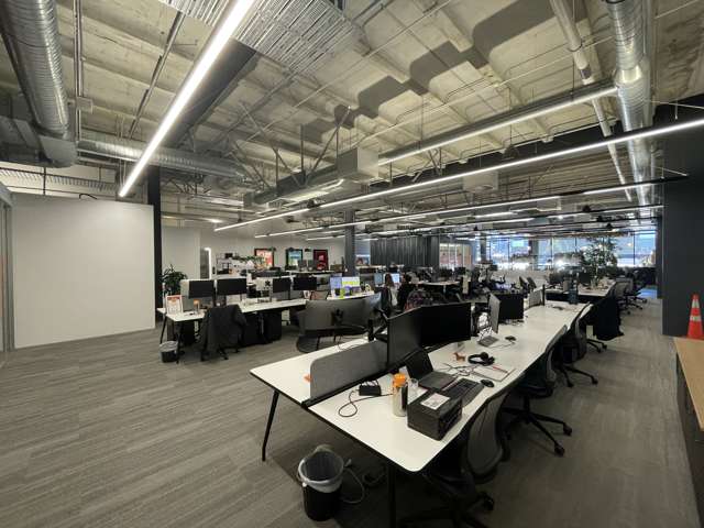 22 Pollen Street Grey Lynn_3