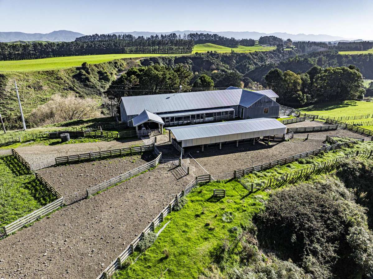 Mananui Station_1
