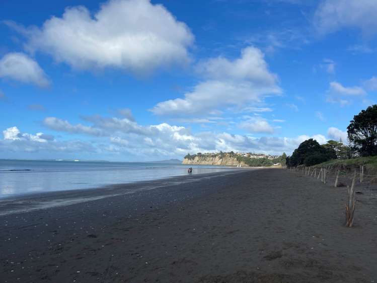 111 Glenvar Ridge Road Long Bay_27