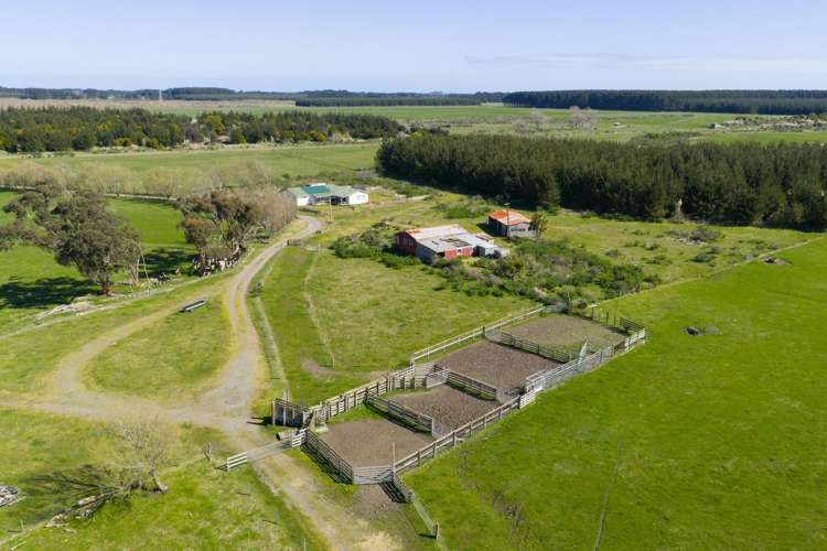 526 Lake Road Himatangi_19