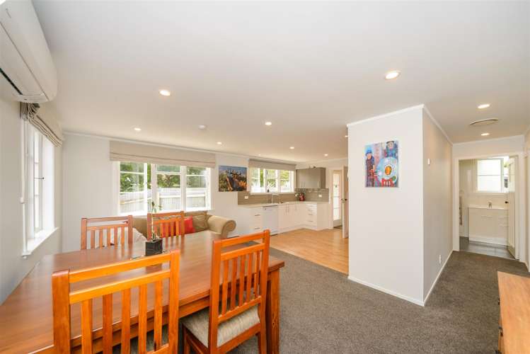 9 Bull Street Bulls_27