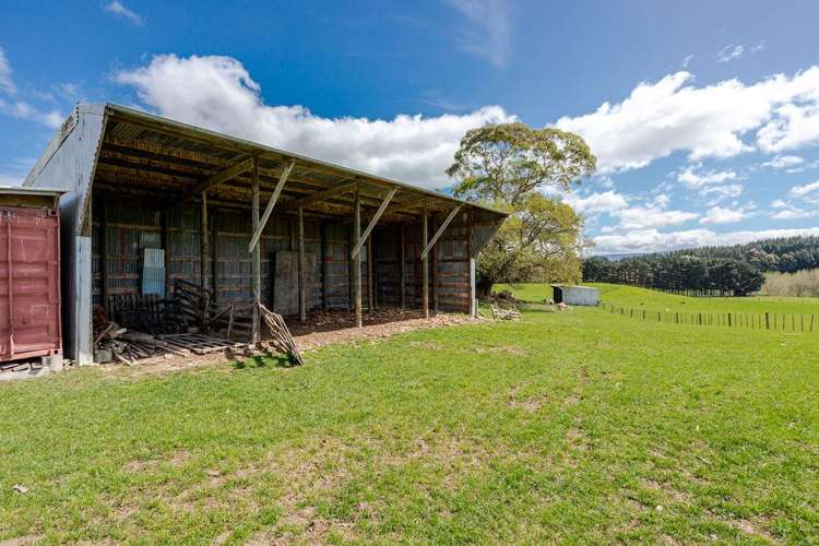 680 Cowper Road Dannevirke_21