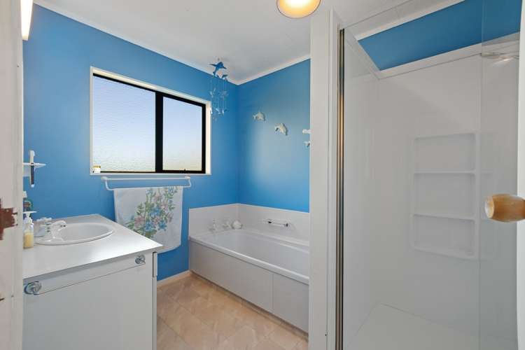 19 Newman Road Morrinsville_11