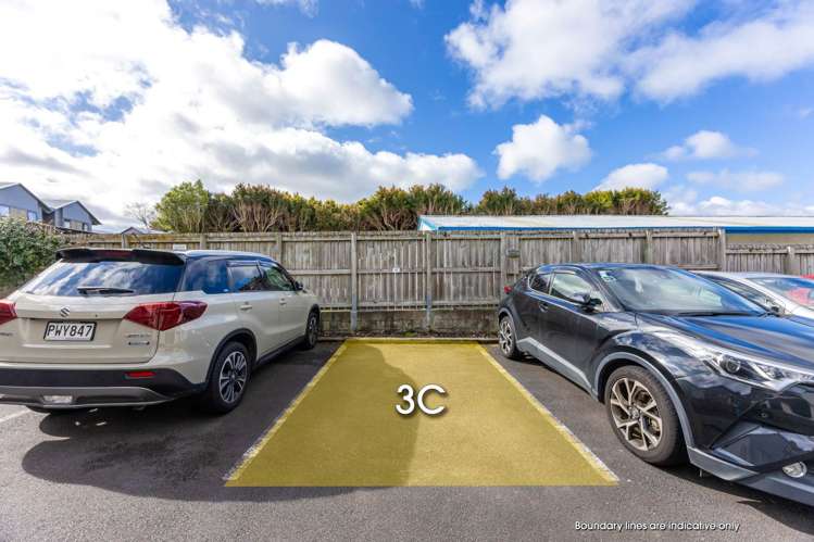 3C/47 Ireland Road Panmure_3