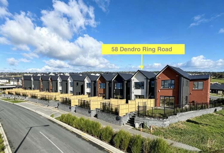 58 Dendro Ring Road_0