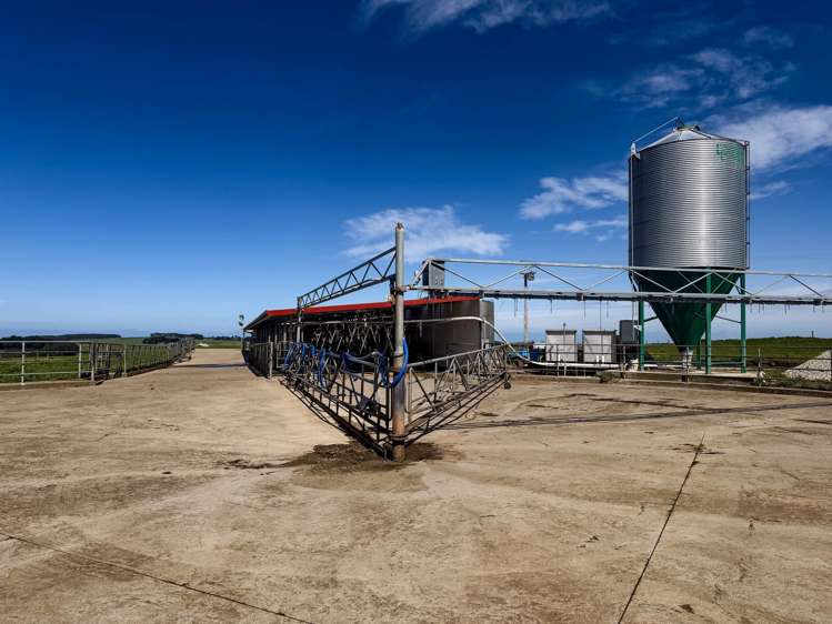 696 Jacks Hill Road Waimahaka_18