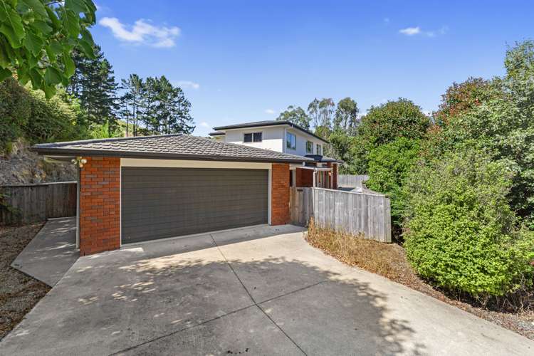 732 Tahuroa Road Morrinsville_19