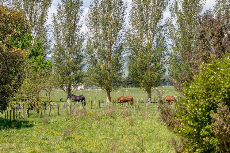 732 Carters Line Carterton_17