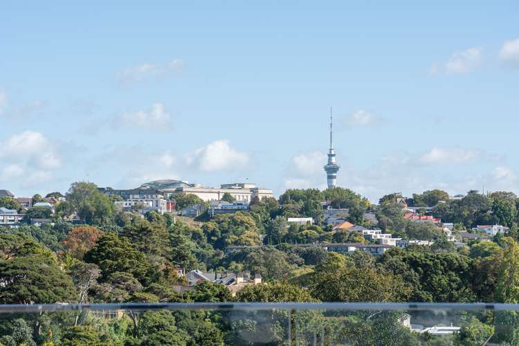 15 Wiles Avenue Remuera_5