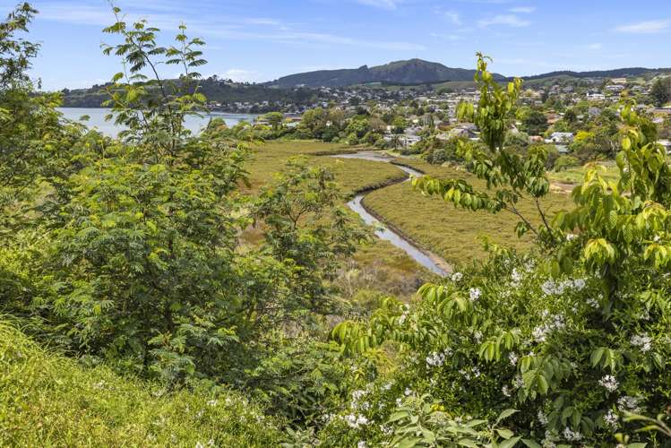 72 Hammond Street Hairini_14