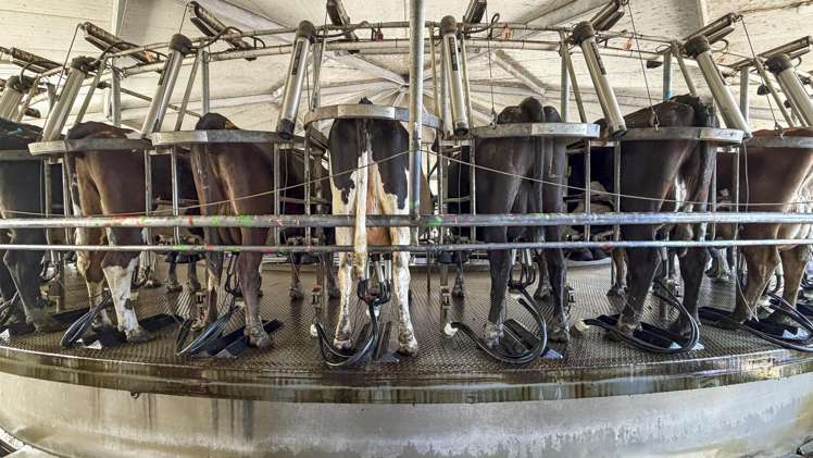 129-139 Tamatarau Road Tokomaru_16