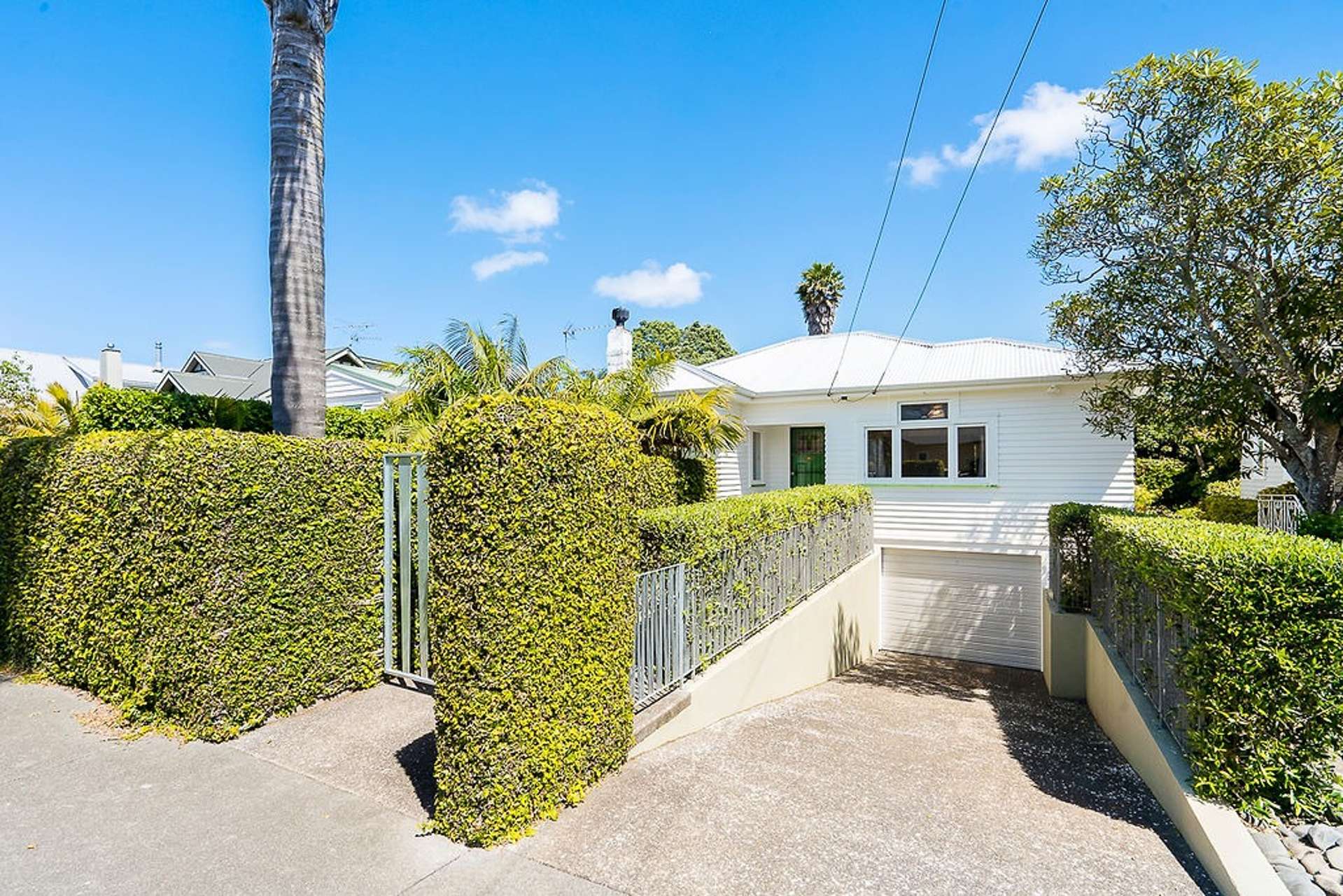 50 Marsden Avenue Mount Eden_0