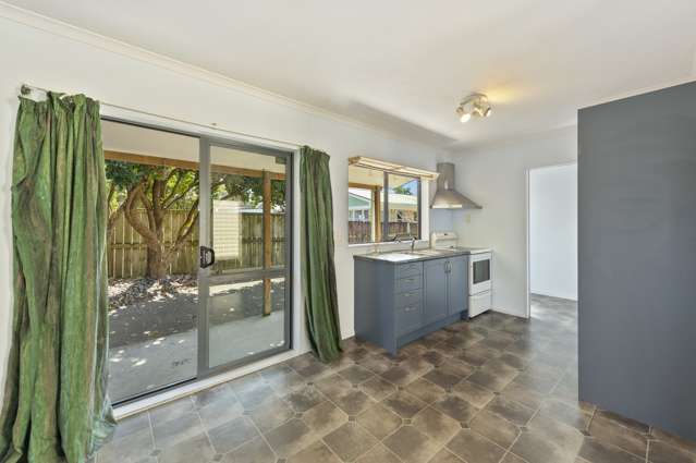 8a Tui Avenue Forest Lake_2