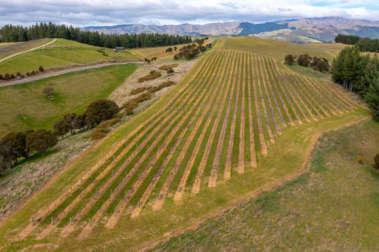 Delta Lake Heights Renwick_8