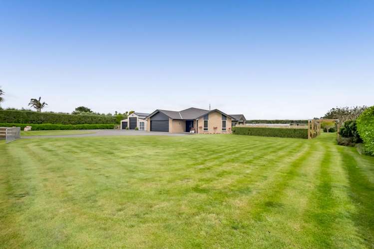 338 Smart Road Hillsborough_46