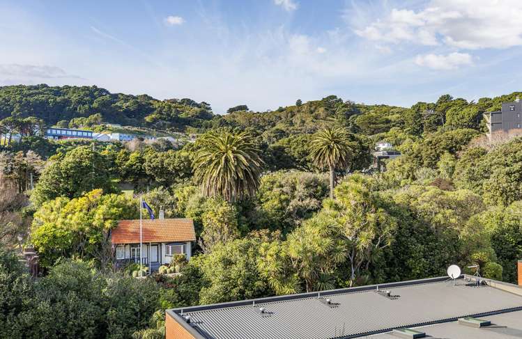 5h/21 Rugby Street Mount Cook_3