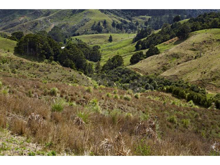 47 Haul Road Tahekeroa_5