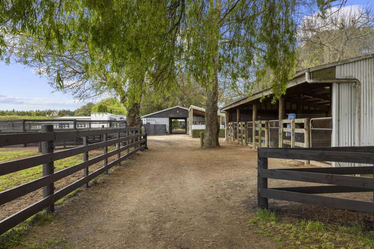 197 Peake Road Cambridge_21