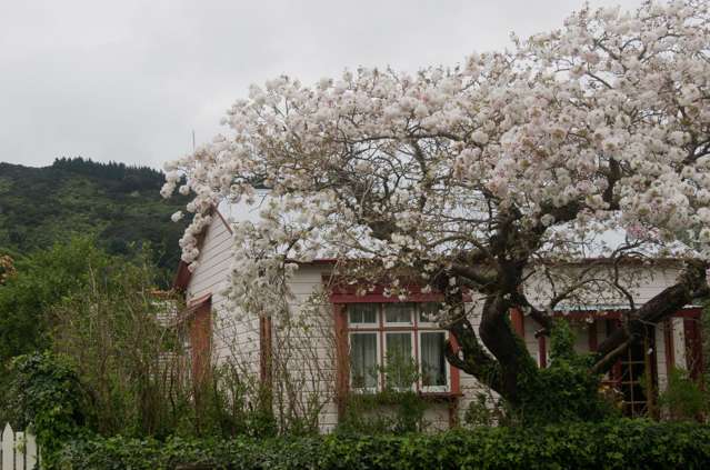 51 Wakefield Street Featherston_1