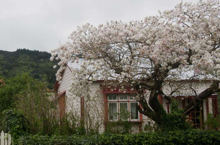 51 Wakefield Street_1