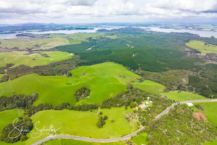 1509 Tinopai Road Tinopai_29