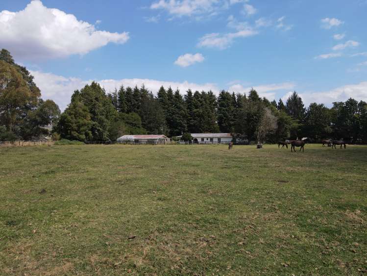 542 Tirau Road Cambridge_8