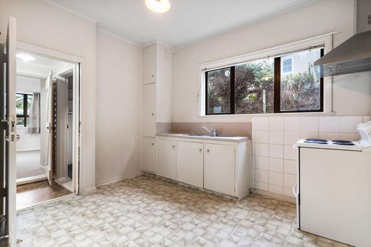 21 Ferguson Avenue Greenlane_12