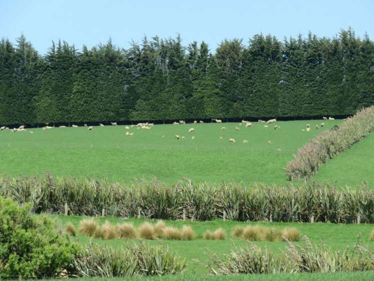 136 Kapuka North Road Wyndham Surrounds_9