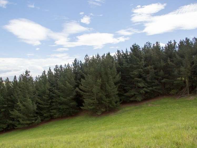 221 Driscoll Road Levels Valley_23