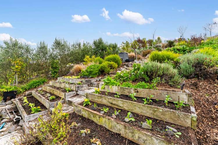 4 Charles Heaphy Lane Stonefields_23