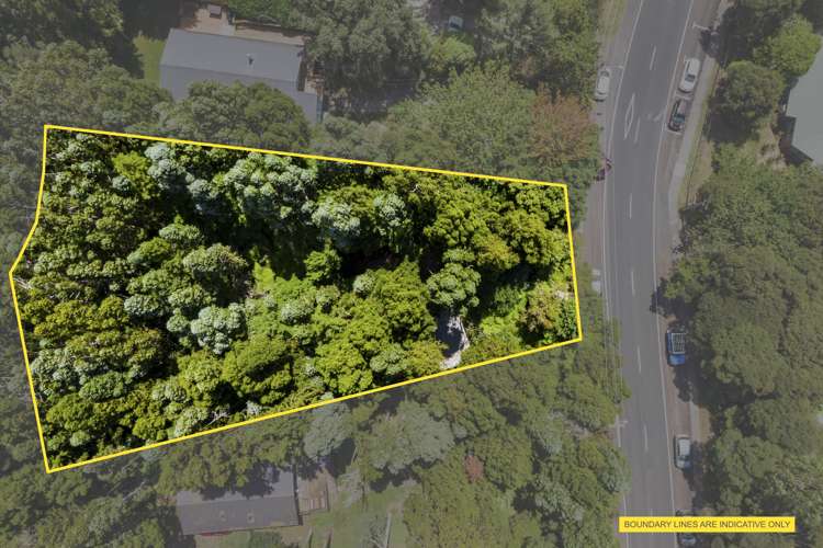 227 Woodlands Park Road Titirangi_19