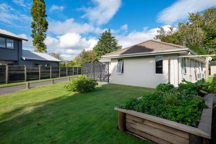 5 Springfield Road Springfield_25