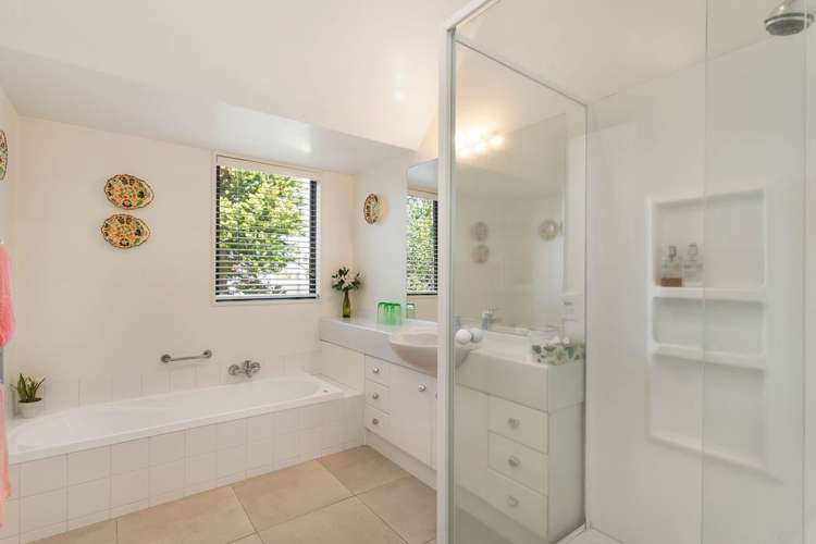 63 Winchester Street Merivale_15